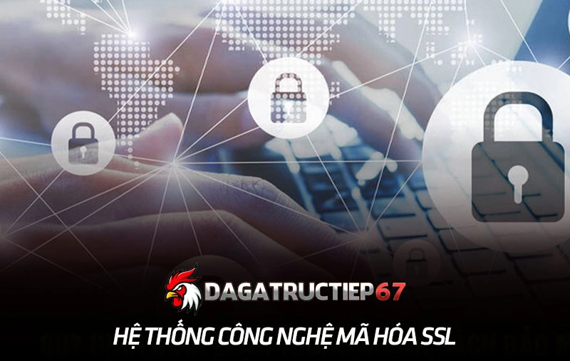 Hệ thống công nghệ mã hóa SSL bảo vệ dữ liệu người dùng
