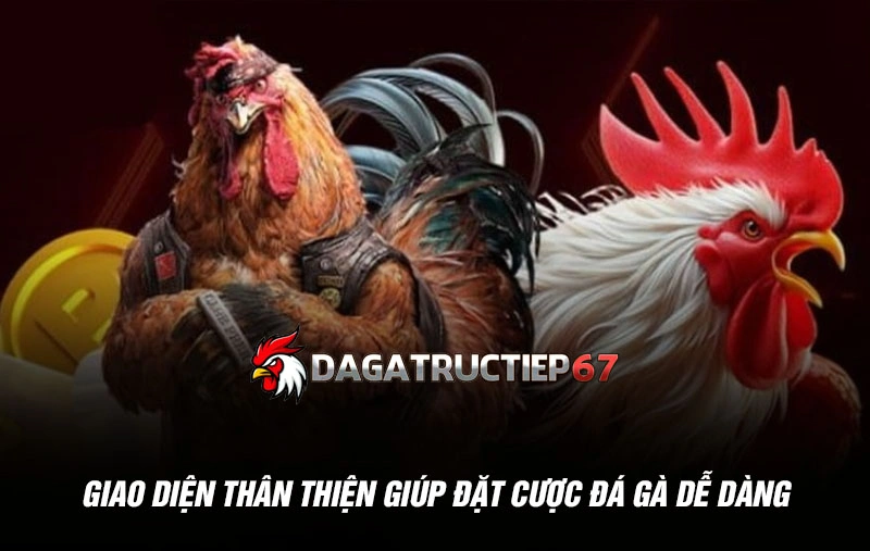 Giao diện thân thiện giúp đặt cược đá gà dễ dàng
