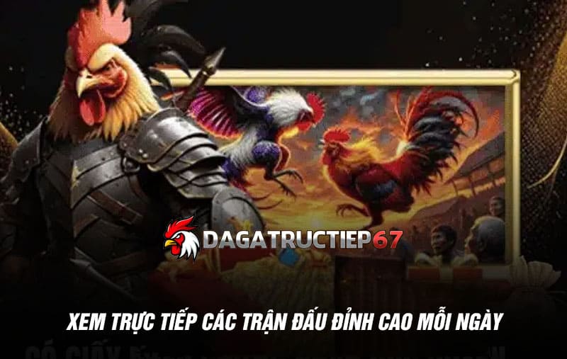 Xem trực tiếp các trận đấu đỉnh cao mỗi ngày